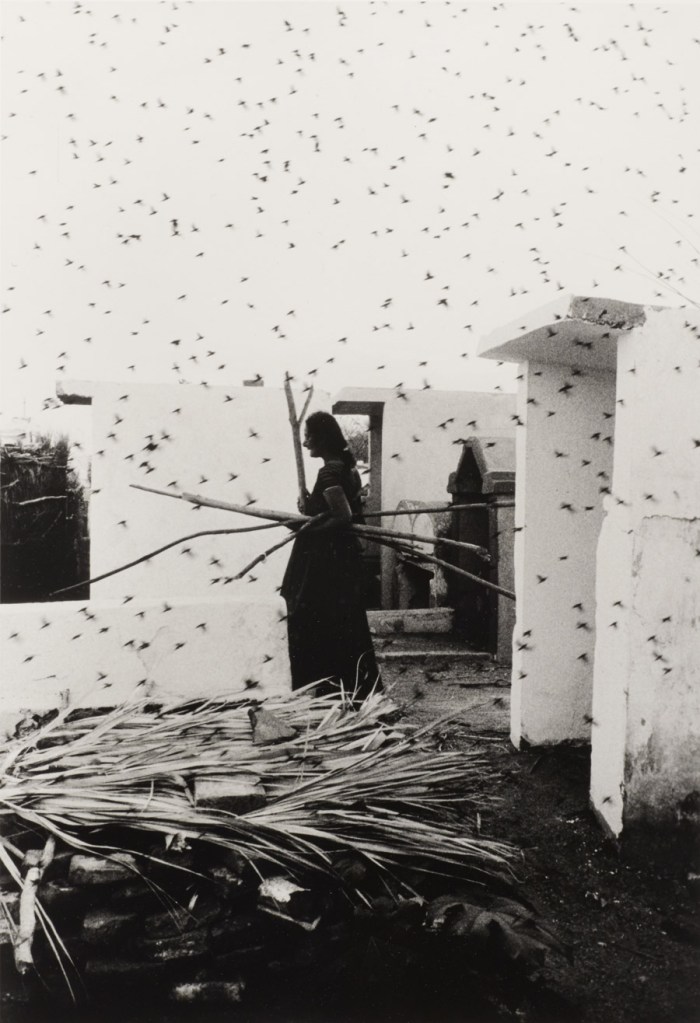Graciela Iturbide (Mexican, b. 1942). 'Cementerio (Cemetery), Juchitán, Oaxaca' 1988