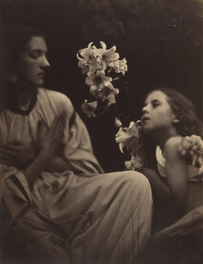 Julia Margaret Cameron (British born India, Calcutta 1815 - 1879 Kalutara, Ceylon) 'A Study' 1865-66