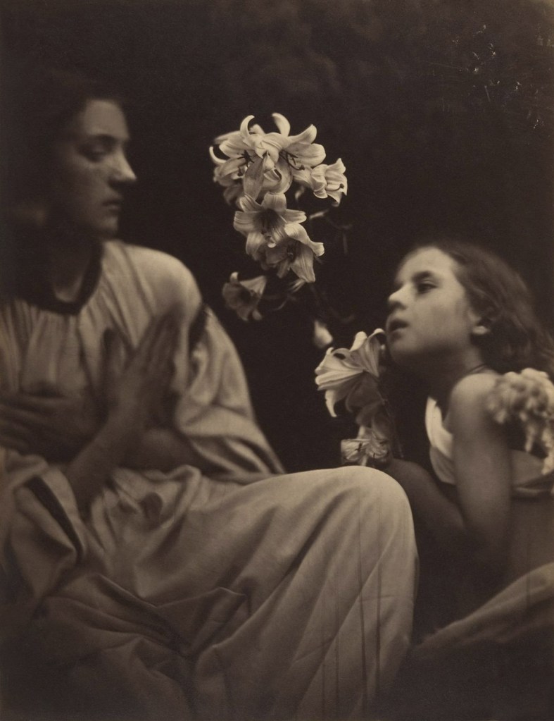 Julia Margaret Cameron (British born India, Calcutta 1815 - 1879 Kalutara, Ceylon) 'A Study' 1865-1866 Julia Margaret Cameron (British born India, Calcutta 1815 - 1879 Kalutara, Ceylon) 'A Study' 1865-1866