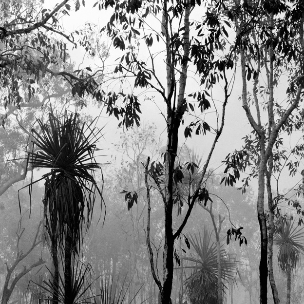 Claudia Terstappen (Australian born Germany, b. 1959) 'After the fire (Northern Territory, Australia)' 2002 Claudia Terstappen (Australian born Germany, b. 1959) 'After the fire (Northern Territory, Australia)' 2002