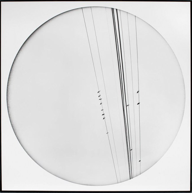 Deborah Luster (American, b. 1951) '01-26 Location. 1800 Leonidas Street (Carrollton) Date(s). July 14, 2009 7:55 a.m. Name(s). Brian Christopher Smith (22) Notes. Face up with multiple gunshot wounds' 2008-2012