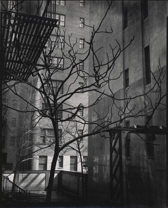 Brett Weston (American, 1911-1993) '[Courtyard, New York]' c. 1945
