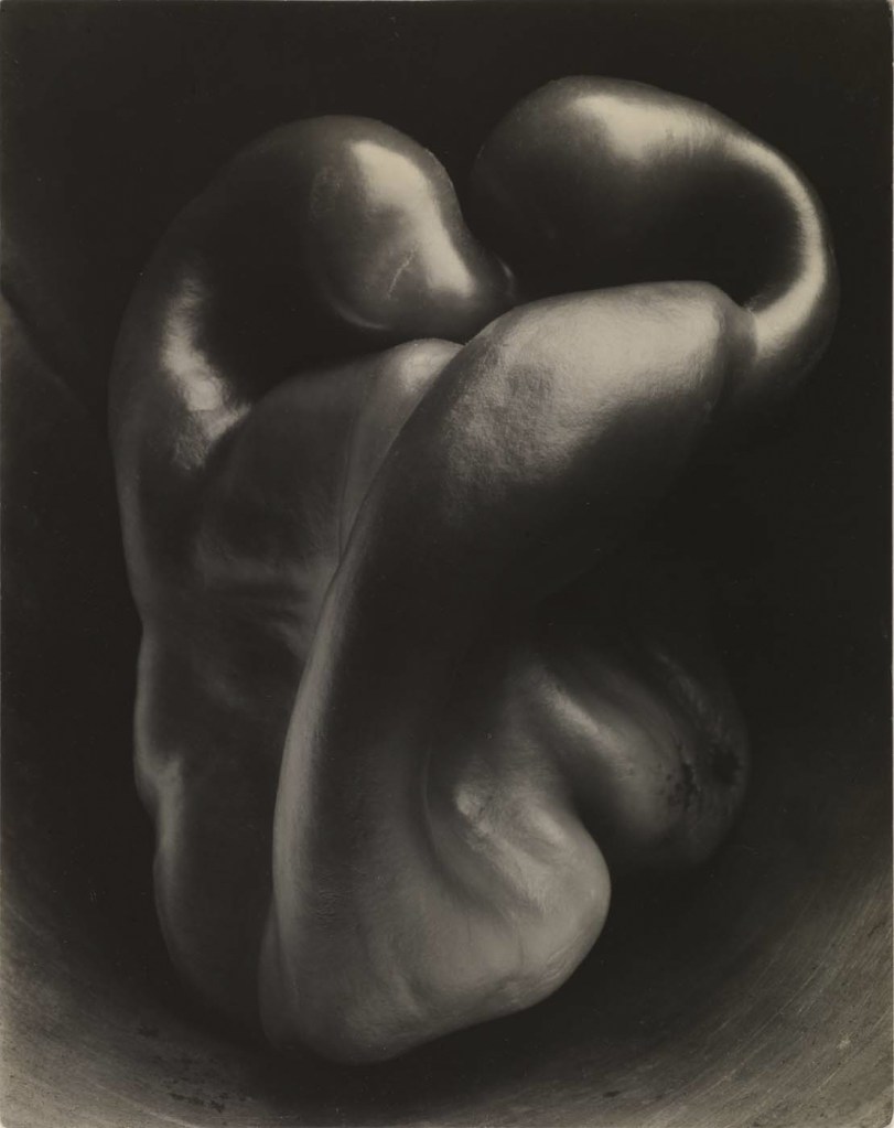 Edward Weston (American, 1886-1958) 'Pepper no. 30' 1930