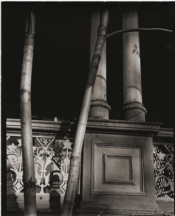 Brett Weston (American, 1911-1993) '[Pillars and tree, New York]' 1944