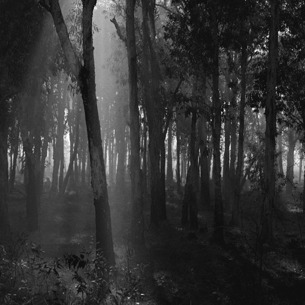 Claudia Terstappen (Australian born Germany, b. 1959) 'Sickness country II (Northern Territory, Australia)' 2002 Claudia Terstappen (Australian born Germany, b. 1959) 'Sickness country II (Northern Territory, Australia)' 2002