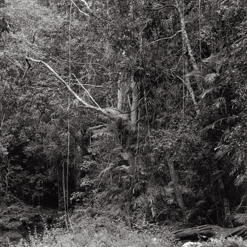 Claudia Terstappen (Australian born Germany, b. 1959) 'Namandi spirit [Queensland, Australia]' 2002