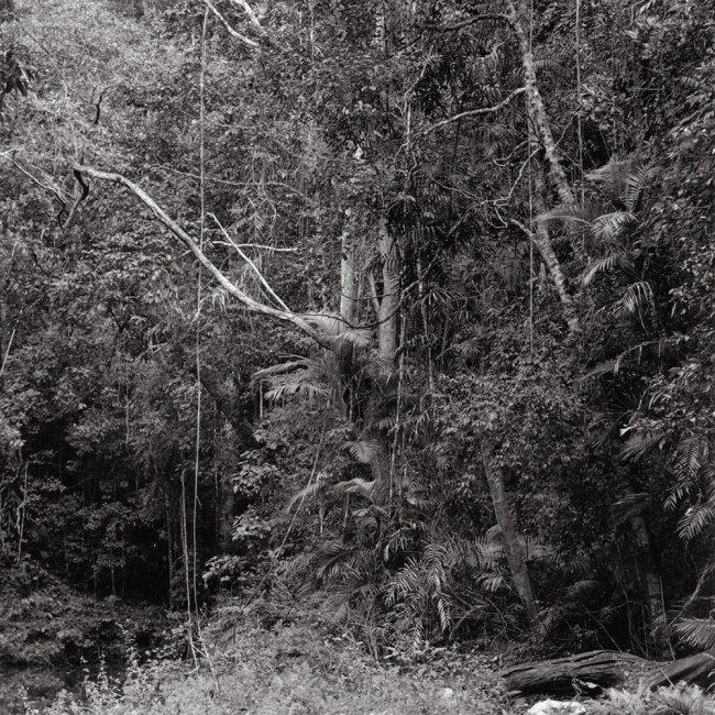 Claudia Terstappen (Australian born Germany, b. 1959) 'Namandi spirit [Queensland, Australia]' 2002