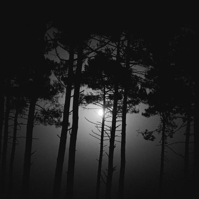 Claudia Terstappen (Australian born Germany, b. 1959) 'Full moon [France]' 1997