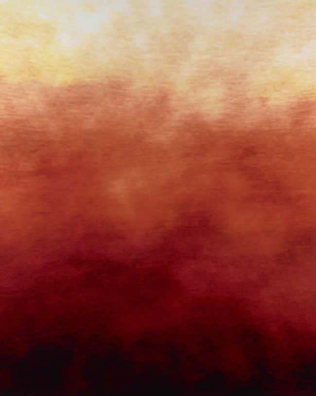 Trevor Paglen (American, b. 1974) 'The Fence (Lake Kickapoo, Texas)' 2010 