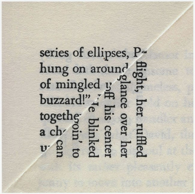 Erica Baum (American, b. 1961)  'Buzzard' 2009