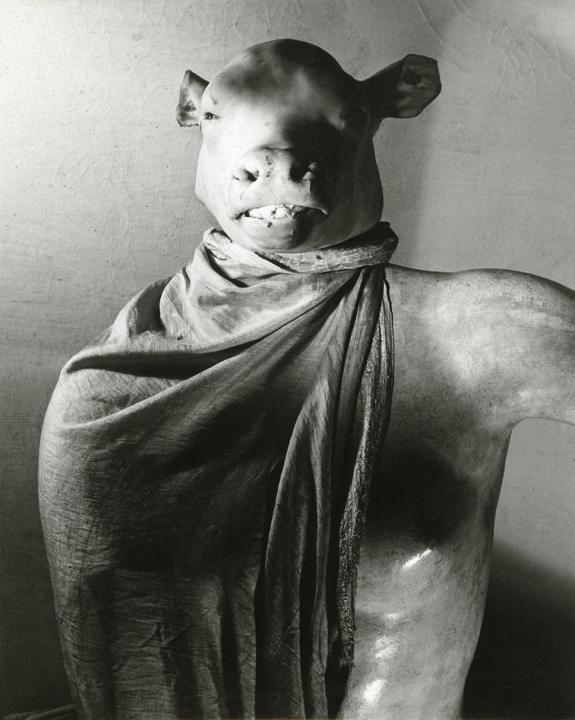 Erwin Blumenfeld (American-German, 1897-1969) 'Minotaur / Dictator' [Minotaure / Dictateur] The Minotaur or The Dictator Paris, c. 1937 from the exhibition 'Erwin Blumenfeld (1897-1969) Photographs, drawings and photomontages' at Jeu de Paume, Paris, October 2013 - January 2014