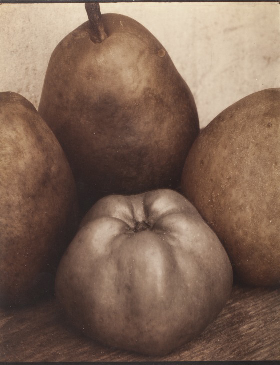 Edward Steichen (Luxembourg, active United States, 1879-1973) 'Three Pears & An Apple' 1921, printed 1921 from the exhibition 'See the Light – Photography, Perception, Cognition: The Marjorie and Leonard Vernon Collection' at The Los Angeles County Museum of Art (LACMA), October 2013 - March 2014