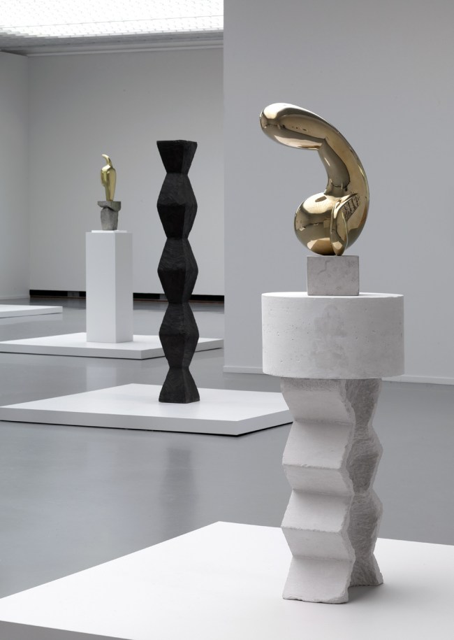 Installation photograph of the exhibition 'Brancusi, Rosso, Man Ray – Framing Sculpture' at Museum Boijmans Van Beuningen, 2014