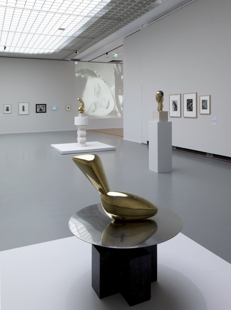 Installation photograph of the exhibition 'Brancusi, Rosso, Man Ray – Framing Sculpture' at Museum Boijmans Van Beuningen, 2014