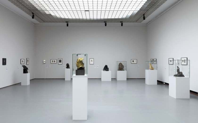 Installation photograph of the exhibition 'Brancusi, Rosso, Man Ray – Framing Sculpture' at Museum Boijmans Van Beuningen, 2014