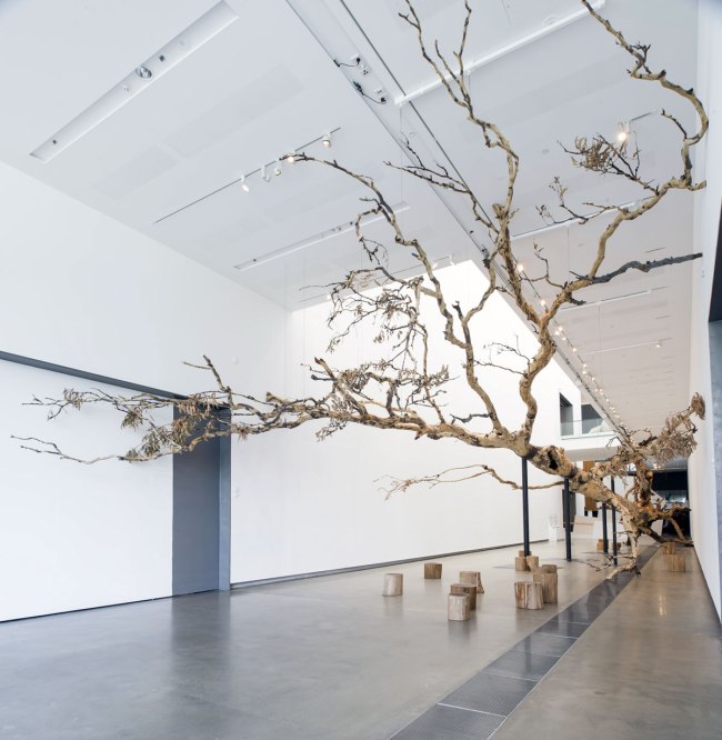 Cai Guo-Qiang (China b. 1957) 'Eucalyptus' 2013 Cai Guo-Qiang (China b. 1957) 'Eucalyptus' 2013