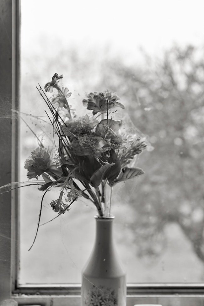 Kristian Laemmle-Ruff (Australian) 'Old Flowers' 2014