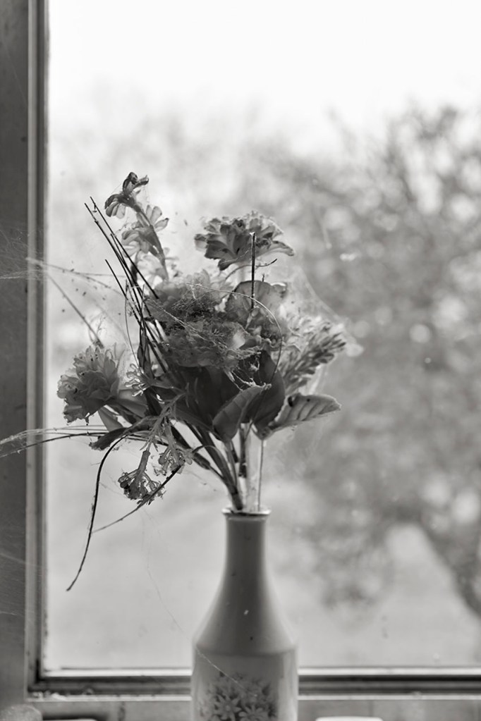 Kristian Laemmle-Ruff (Australian) 'Old Flowers' 2014