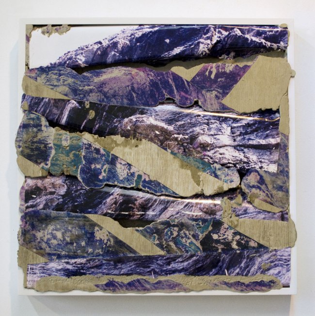 Letha Wilson (American, b. 1976) 'Colorado Purple' 2012