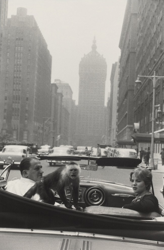 Garry Winogrand (American, 1928-1984) 'Park Avenue, New York' 1959