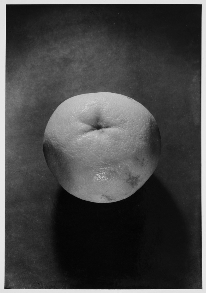 Wols. 'Untitled [Still Life - Grapefruit]' 1938 - August 1939