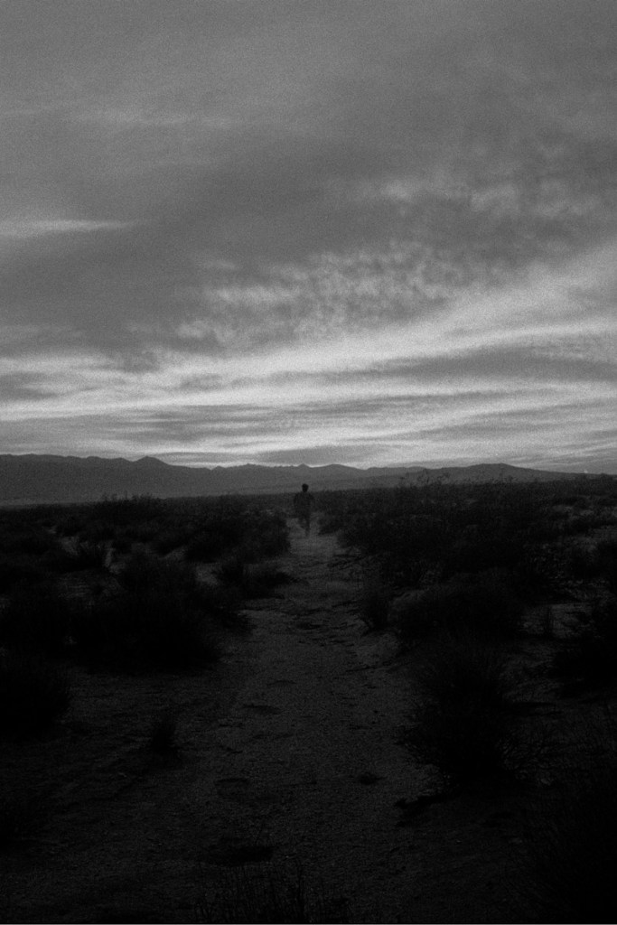 John Divola (American, b. 1949) 'As Far As I Could Get (R02F06), 10 Seconds' 1996-1997 John Divola (American, b. 1949) 'As Far As I Could Get (R02F06), 10 Seconds' 1996-1997