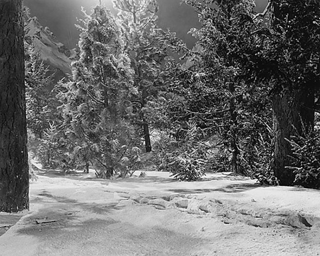 John Divola (American, b. 1949) 'Artificial Nature' (detail, 1 of 36) 2002