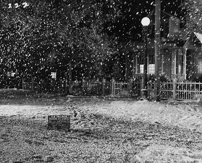 John Divola (American, b. 1949) 'Artificial Nature' (detail, 1 of 36) 2002