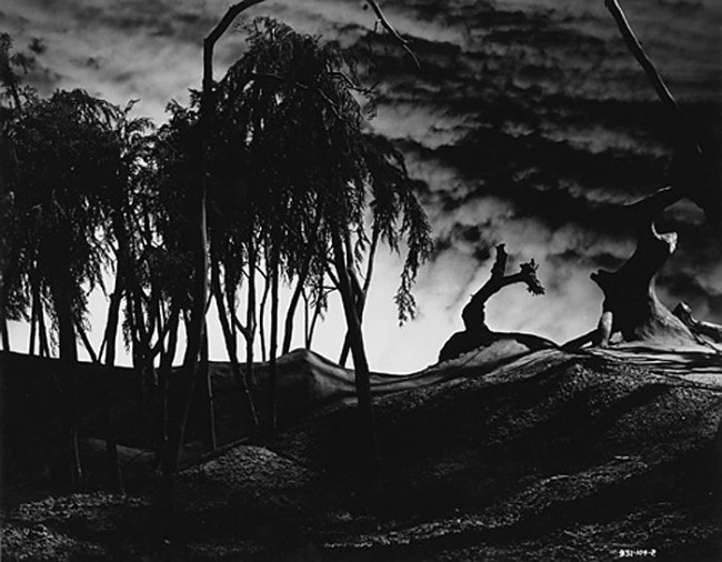 John Divola (American, b. 1949) 'Artificial Nature' (detail, 1 of 36) 2002