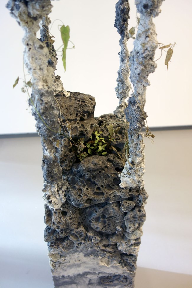 Jamie North (Australian, b. 1971) 'Tropic cascade #2' 2014 (installation view detail)