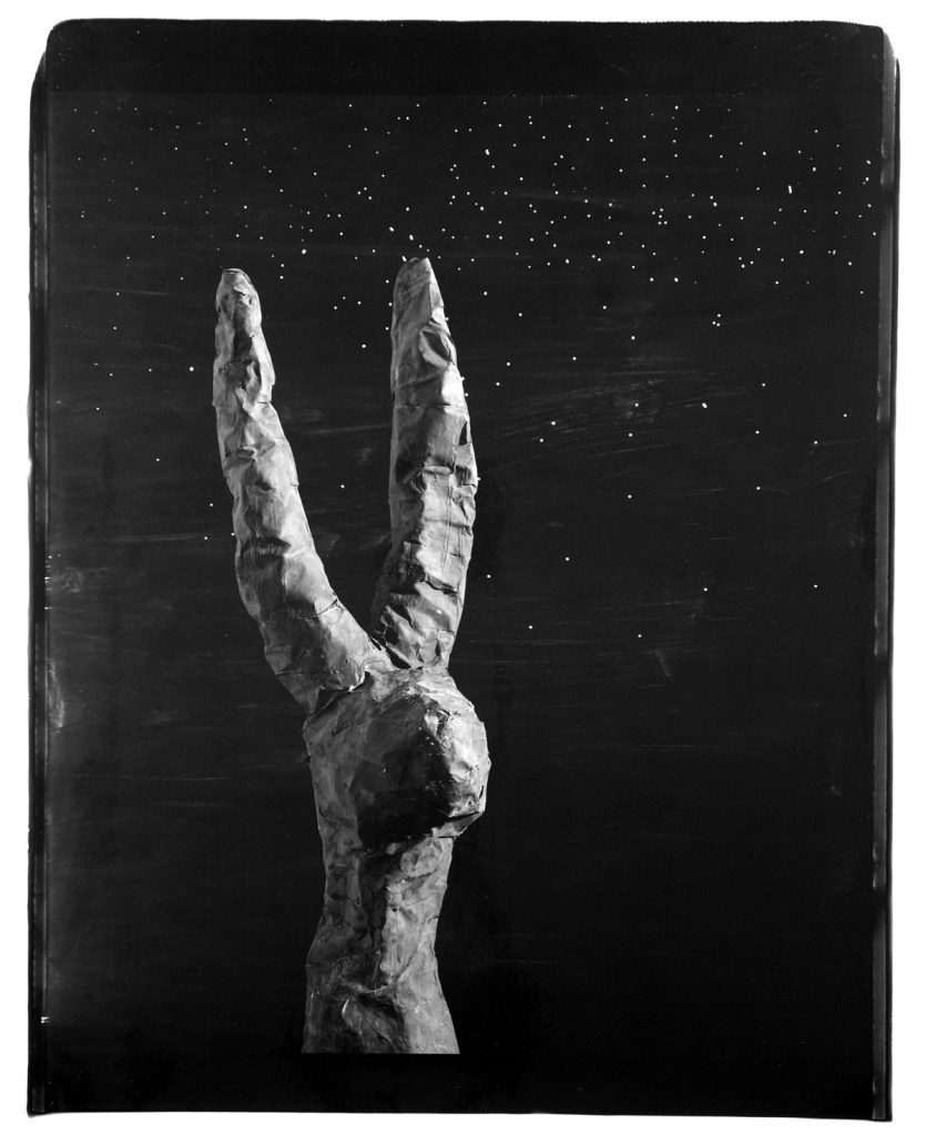 John Divola (American, b. 1949) 'Rabbit, 87RBA1' 1987 John Divola (American, b. 1949) 'Rabbit, 87RBA1' 1987