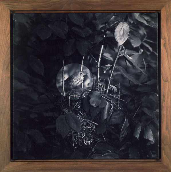 John Divola (American, b. 1949) 'Seven Songbirds and a Rabbit' 1995 (detail)