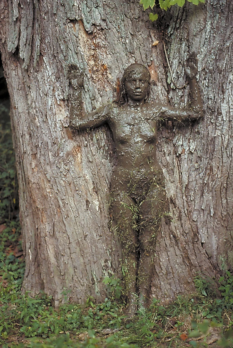 Ana Mendieta. 'Tree of Life' 1976