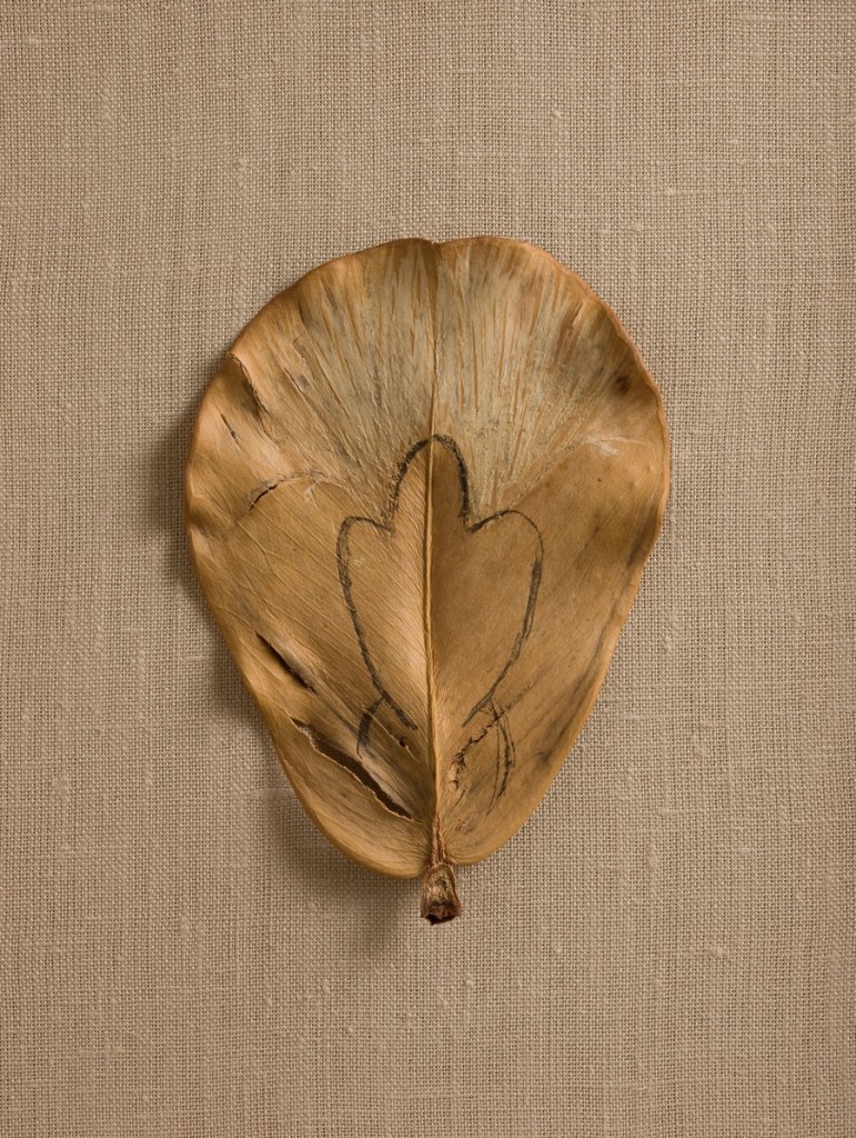 Ana Mendieta (Cuban-American, 1948-1985) 'Untitled' 1982 Ana Mendieta (Cuban-American, 1948-1985) 'Untitled' 1982