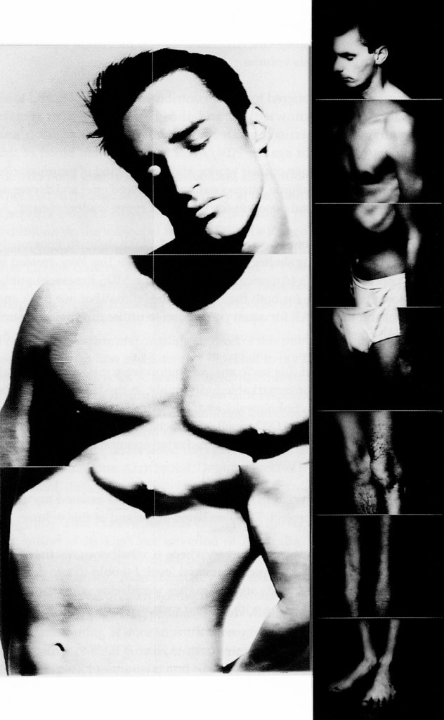 Lex Middleton. 'Gay Beauty Myth' 1992