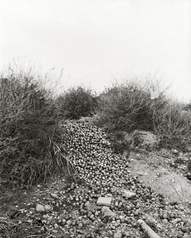 Vanessa Winship (British, b. 1960) 'Untitled' from the series 'Almería. Where Gold Was Found' 2014