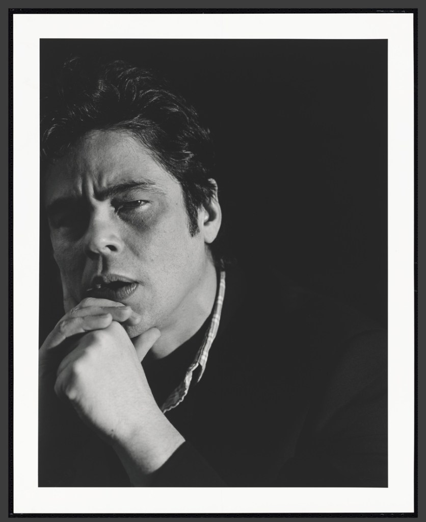 Cass Bird (American, b. 1974) 'Benicio Del Toro' 2008 (printed 2012) Cass Bird (American, b. 1974) 'Benicio Del Toro' 2008 (printed 2012)