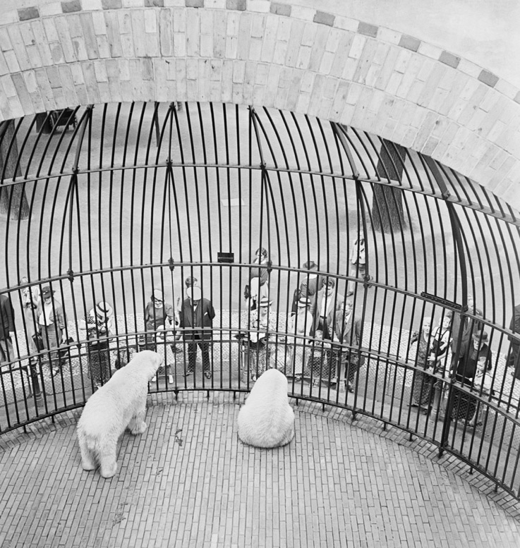 Roman Vishniac (Russian-American, 1897-1990) 'People behind bars, Berlin Zoo' Early 1930s (printed 2012) from the exhibition 'Roman Vishniac Rediscovered' at the Jewish Historical Museum, Amsterdam, April-  August, 2014