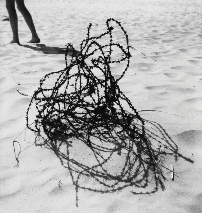Josef Koudelka (Czech-French, b. 1938) 'Poland' 1958