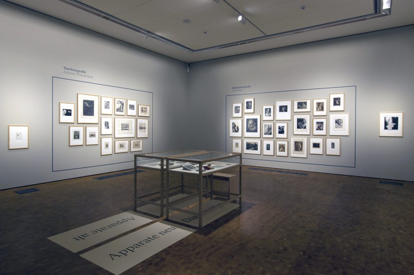 Installation view of the exhibition 'The Museum of Photography. A Revision' at Ludwig Museum of Contemporary Art, Budapest