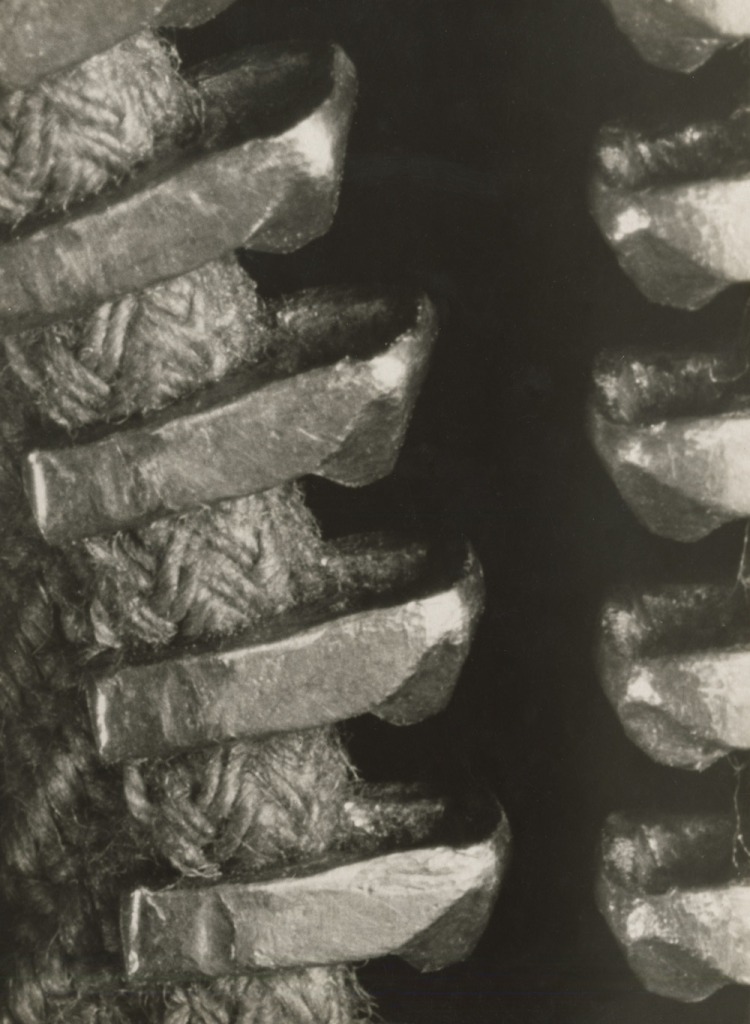 Albert Renger-Patzsch (1897-1966) 'Untitled (Close-up of a Zip Fastener)' 1928-1933