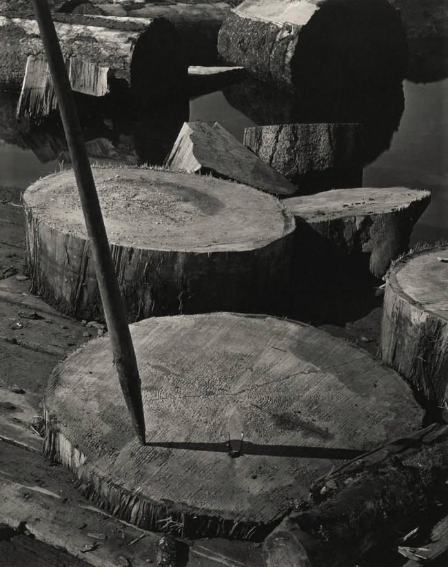 Minor White (American, 1908-1976) 'Lily Pads and Pike, Portland, Oregon' c. 1939