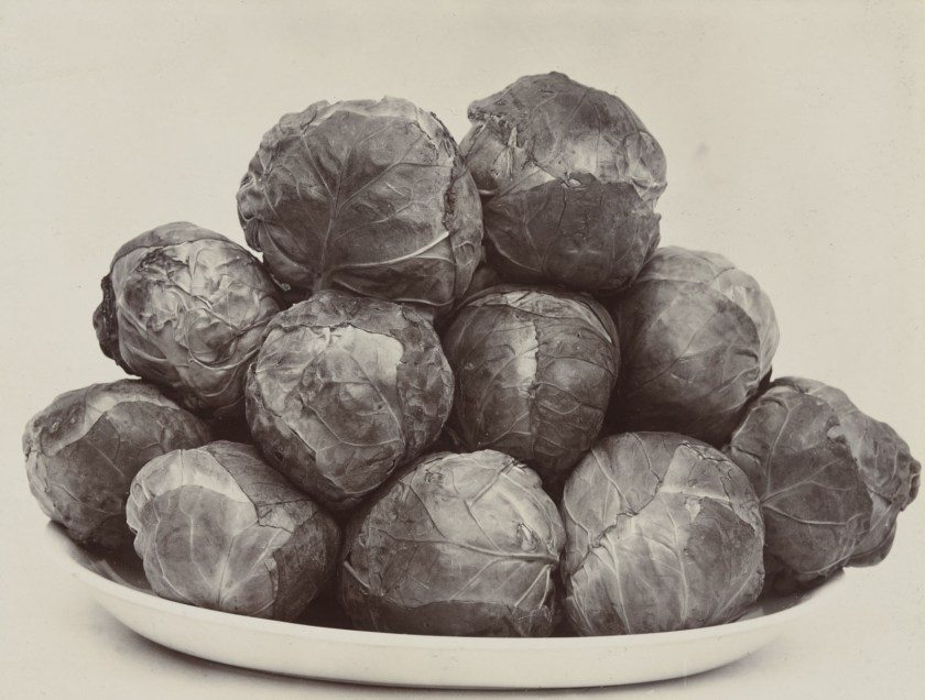 Charles Harry Jones (English, 1866-1959) 'Brussels Sprouts' c. 1900