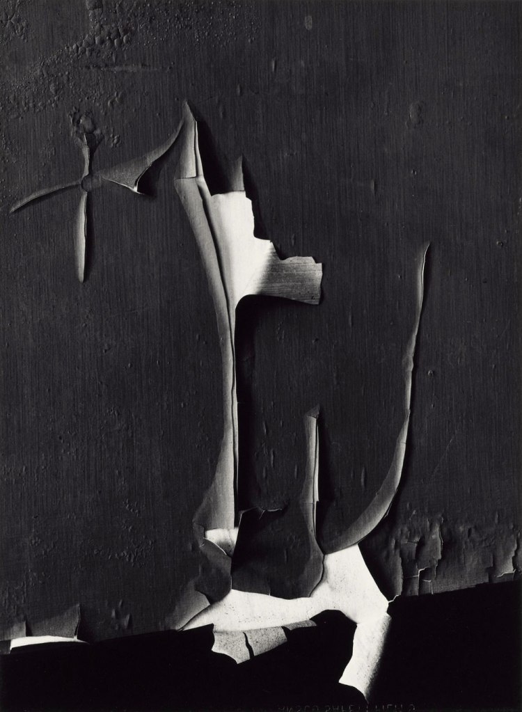 Minor White (American, 1908-1976) 'Peeled Paint, Rochester, New York' 1959