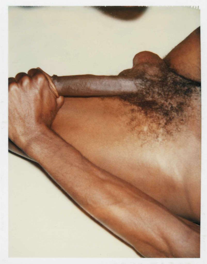 Andy Warhol (American, 1928-1987) 'Nude Male Model' 1977 (detail)