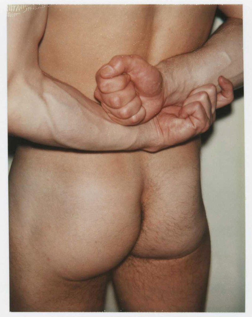 Andy Warhol (American, 1928-1987) 'Nude Male Model' 1977 (detail)