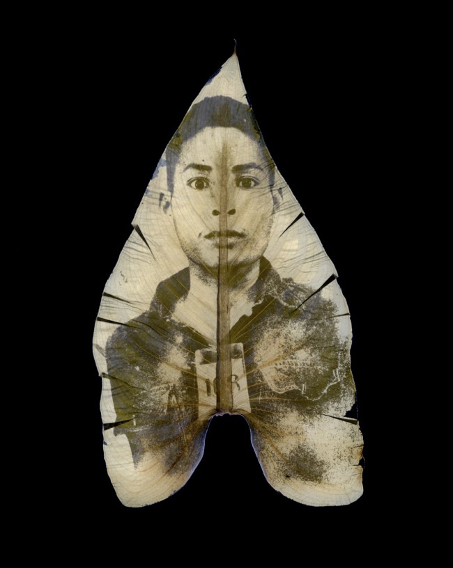 Binh Danh (American born Vietnam, b. 1977) 'The Botany of Tuol Sleng Genocide Museum #2' 2008