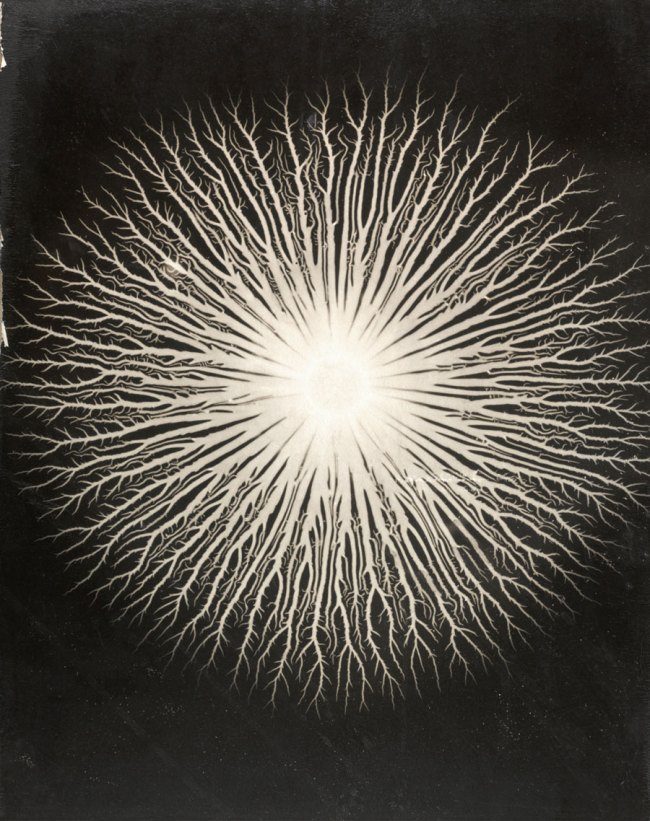Gyorgy Kepes (American born Hungary, 1906-2001) 'Lichtenberg figures: A. R. von Hippel' 1951