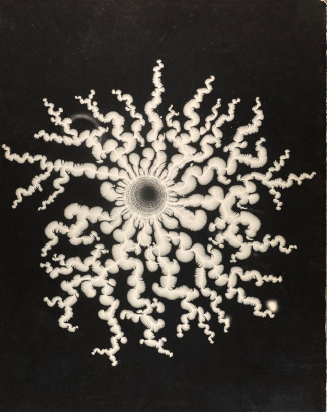 Gyorgy Kepes (American born Hungary, 1906-2001) 'Lichtenberg figures: A. R. von Hippel' 1951