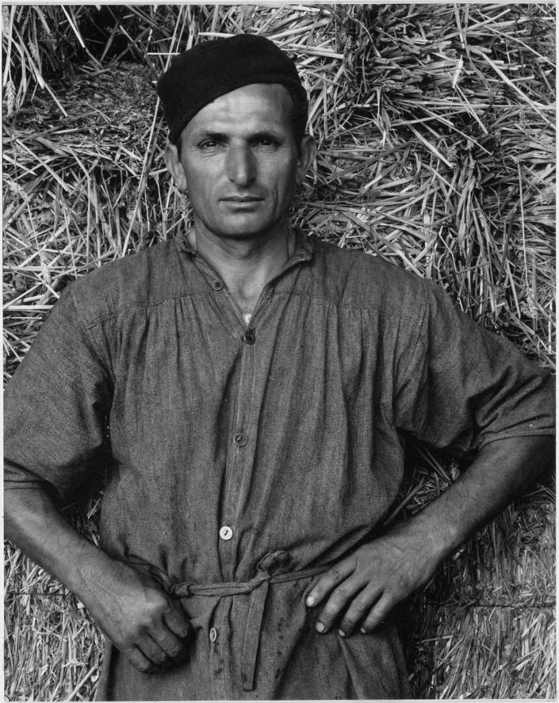 Paul Strand (American, 1890-1976) 'Farmworker, Luzzara, Italy' 1953 Paul Strand (American, 1890-1976) 'Farmworker, Luzzara, Italy' 1953